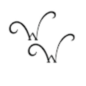 Meet your Posher, Lilia